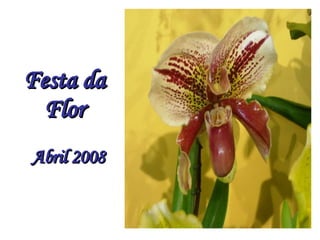Festa da Flor Abril 2008 
