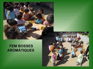 FEM BOSSES
AROMÀTIQUES
 