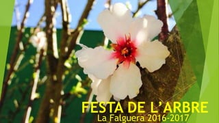 FESTA DE L’ARBRE
La Falguera 2016-2017
 