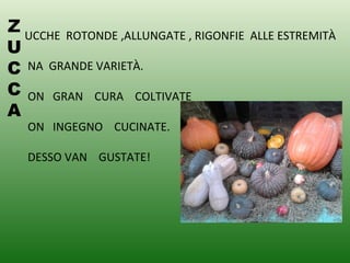 Z
U
C
C
A
UCCHE ROTONDE ,ALLUNGATE , RIGONFIE ALLE ESTREMITÀ
NA GRANDE VARIETÀ.
ON GRAN CURA COLTIVATE
ON INGEGNO CUCINATE.
DESSO VAN GUSTATE!
 