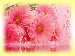 Festa do pai nosso 2017