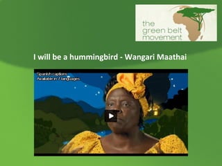 I will be a hummingbird - Wangari Maathai

 