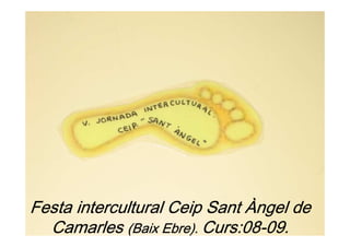 Festa intercultural Ceip Sant Àngel de
  Camarles (Baix Ebre). Curs:08-09.
                        Curs:08-
 