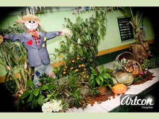 Festa junina hf 2013 artcon