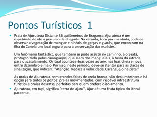 Pontos Turísticos 1
 Praia de Ajuruteua Distante 36 quilômetros de Bragança, Ajuruteua é um
  espetáculo desde o percurso de chegada. Na estrada, toda pavimentada, pode-se
  observar a vegetação de mangue e ninhais de garças e guarás, que encontram na
  Ilha do Canela um local seguro para a preservação das espécies.
  Um fenômeno fantástico, que também se pode assistir no caminho, é o Suatá,
  protagonizado pelos caranguejos, que saem dos manguesais, à beira da estrada,
  para o acasalamento. O ritual acontece duas vezes ao ano, nas luas cheia e nova,
  entre dezembro e maio. Por isso, neste período, deve-se atentar para as placas de
  sinalização, que indicam: "Atenção. Reduza a velocidade. Caranguejo na pista.”
  As praias de Ajuruteua, com grandes faixas de areia branca, são deslumbrantes e há
  opção para todos os gostos: praias movimentadas, com razoável infraestrutura
  turística e praias desertas, perfeitas para quem prefere o isolamento.
 Ajuruteua, em tupi, significa "terra do ajuru". Ajuru é uma fruta típica do litoral
  paraense.
 
