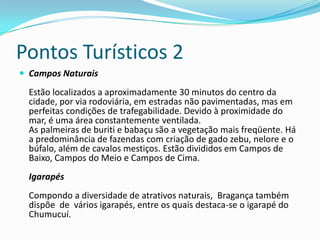 Pontos Turísticos 2
 Campos Naturais

  Estão localizados a aproximadamente 30 minutos do centro da
  cidade, por via rodoviária, em estradas não pavimentadas, mas em
  perfeitas condições de trafegabilidade. Devido à proximidade do
  mar, é uma área constantemente ventilada.
  As palmeiras de buriti e babaçu são a vegetação mais freqüente. Há
  a predominância de fazendas com criação de gado zebu, nelore e o
  búfalo, além de cavalos mestiços. Estão divididos em Campos de
  Baixo, Campos do Meio e Campos de Cima.
  Igarapés
  Compondo a diversidade de atrativos naturais, Bragança também
  dispõe de vários igarapés, entre os quais destaca-se o igarapé do
  Chumucuí.
 
