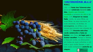 ( DEUTERONÔMIO 16:1- 17
NAA)
(1
3) — A Festa dos Tabernáculos
deve ser celebrada durante sete
dias, depois que tiverem
recolhido o produto da eira e do
lagar. (14) Alegrem-se nessa
festa, vocês, os seus filhos, as
suas filhas, os seus escravos, as
suas escravas, os levitas, os
estrangeiros, os órfãos e as
viúvas que moram nas cidades de
vocês. (15) Durante sete dias
vocês celebrarão a festa ao
Senhor, seu Deus, no lugar que o
Senhor escolher. Porque o Senhor,
o Deus de vocês, os abençoará
em todas as suas colheitas e em
tudo o que vocês fizerem, e por
isso vocês certamente poderão se
alegrar. Graça e
Conhecim ento
 
