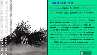 Graça e
Conhecim ento
(MATEUS 13:24-42 NVI)
(30) Deixem que cresçam juntos até à colheita. Então
direi aos encarregados da colheita: Juntem primeiro o
joio e amarrem-no em feixes para ser queimado;
depois juntem o trigo e guardem-no no meu celeiro’.
(36) Então ele deixou a multidão e foi para casa. Seus
discípulos aproximaram-se dele e disseram: "Explica-
nos a parábola do joio no campo". (37) Ele respondeu:
"Aquele que semeou a boa semente é o Filho do
homem. (38) O campo é o mundo, e a boa semente
são os filhos do Reino. O joio são os filhos do Maligno,
(39) e o inimigo que o semeia é o diabo. A colheita é
o fim desta era, e os encarregados da colheita são
anjos. (40) "Assim como o joio é colhido e queimado
no fogo, assim também acontecerá no fim desta era.
(41) O Filho do homem enviará os seus anjos, e eles
tirarão do seu Reino tudo o que faz tropeçar e todos os
que praticam o mal. (42) Eles os lançarão na fornalha
ardente, onde haverá choro e ranger de dentes.
 