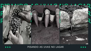 PISANDO AS UVAS NO LAGAR
PISANDO AS UVAS NO LAGAR
PISANDO AS UVAS NO LAGAR
PISANDO AS UVAS NO LAGAR
 
