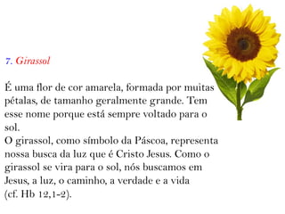 7. Girassol
É uma flor de cor amarela, formada por muitas
pétalas, de tamanho geralmente grande. Tem
esse nome porque está sempre voltado para o
sol.
O girassol, como símbolo da Páscoa, representa
nossa busca da luz que é Cristo Jesus. Como o
girassol se vira para o sol, nós buscamos em
Jesus, a luz, o caminho, a verdade e a vida
(cf. Hb 12,1-2).
 