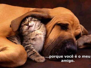 ...porque você é o meu amigo.