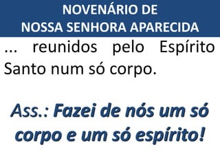 Ass.: Fazei de nós um só
corpo e um só espírito!
... reunidos pelo Espírito
Santo num só corpo.
NOVENÁRIO DE
NOSSA SENHORA APARECIDA
 