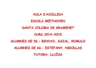 AULA D’ACOLLIDA
ESCOLA BEETHOVEN
SANTA COLOMA DE GRAMENET
CURS 2014-2015
ALUMNES DE 5è.: BINYAO, SAZAL, ROMULO
ALUMNES DE 6è.: ESTEFANY, NIKOLLAS
TUTORA: LLUÏSA
 