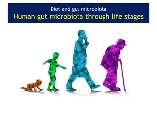 Diet and gut microbiota
Human gut microbiota through life stages
 