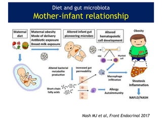 Diet and gut microbiota
Mother-infant relationship
Nash MJ et al, Front Endocrinol 2017
 