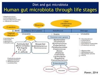 Power, 2014
Diet and gut microbiota
Human gut microbiota through life stages
 