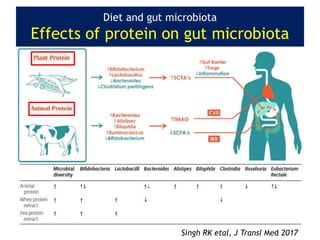 Diet and gut microbiota
Effects of protein on gut microbiota
Singh RK etal, J Transl Med 2017
 