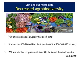 Diet and gut microbiota
Decreased agrobiodiversity
• 75% of plant genetic diversity has been lost;
• Humans use 150-200 edible plant species of the 250-300.000 known;
• 75% world’s food is generated from 12 plants and 5 animal species.
FAO, 2004
 