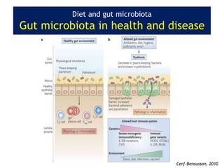 Diet and gut microbiota
Gut microbiota in health and disease
Cerf-Bensussan, 2010
 