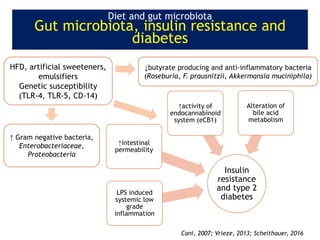 Insulin
resistance
and type 2
diabetes
LPS induced
systemic low
grade
inflammation
↑intestinal
permeability
Alteration of
bile acid
metabolism
↑activity of
endocannabinoid
system (eCB1)
HFD, artificial sweeteners,
emulsifiers
Genetic susceptibility
(TLR-4, TLR-5, CD-14)
Cani, 2007; Vrieze, 2013; Scheithauer, 2016
↓butyrate producing and anti-inflammatory bacteria
(Roseburia, F. prausnitzii, Akkermansia muciniphila)
↑ Gram negative bacteria,
Enterobacteriaceae,
Proteobacteria
Diet and gut microbiota
Gut microbiota, insulin resistance and
diabetes
 