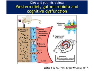Diet and gut microbiota
Western diet, gut microbiota and
cognitive dysfunction
Noble E et Al, Front Behav Neurosci 2017
 