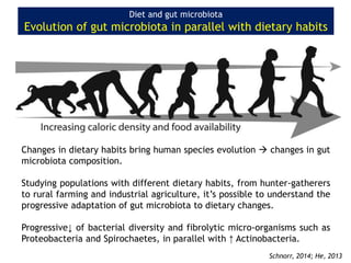 Changes in dietary habits bring human species evolution  changes in gut
microbiota composition.
Studying populations with different dietary habits, from hunter-gatherers
to rural farming and industrial agriculture, it’s possible to understand the
progressive adaptation of gut microbiota to dietary changes.
Progressive↓ of bacterial diversity and fibrolytic micro-organisms such as
Proteobacteria and Spirochaetes, in parallel with ↑ Actinobacteria.
Diet and gut microbiota
Evolution of gut microbiota in parallel with dietary habits
Schnorr, 2014; He, 2013
 