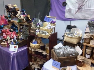 Festin gastronomico 2014