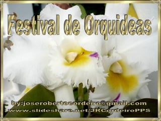 Festival de Orquideas by:joserobertocordeiro@gmail.com www.slideshare.net/JRCordeiroPPS 