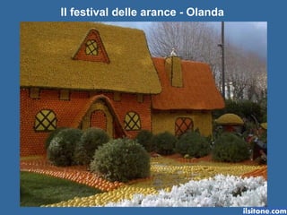 Il festival delle arance - Olanda 
