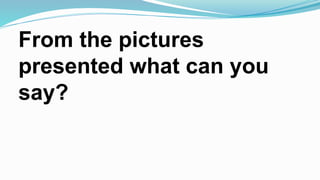 From the pictures
presented what can you
say?
 