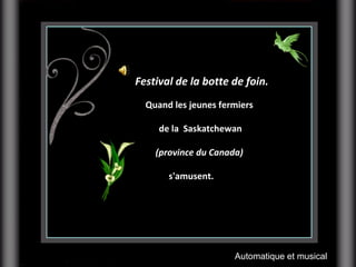     Festival de la botte de foin.   Quand les jeunes fermiers  de la  Saskatchewan (province du Canada)   s'amusent.                 Automatique et musical 