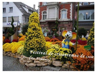 Festival de crisantemos de  LAHR ( En Alemania ) 