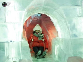 Festival deglace2014harbinchine