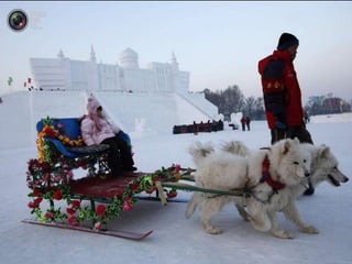 Festival deglace2014harbinchine
