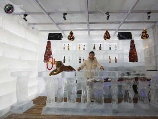 Festival deglace2014harbinchine