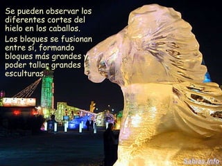 Se pueden observar los diferentes cortes del hielo en los caballos. Los bloques se fusionan entre sí, formando bloques más grandes y poder tallar grandes esculturas. Sabias.Info 