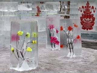 Festival de neve e gelo