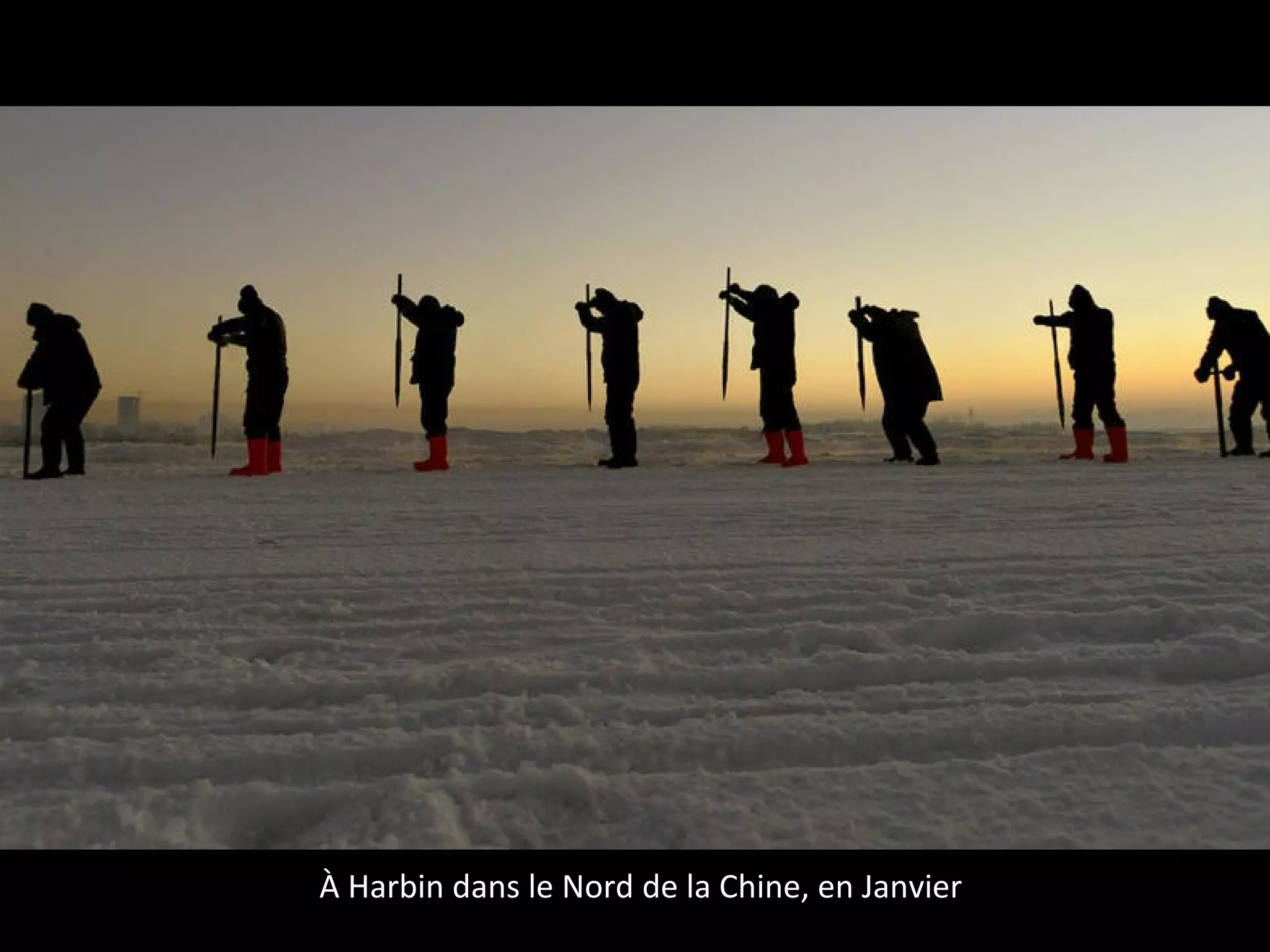 À Harbin dans le Nord de la Chine, en Janvier