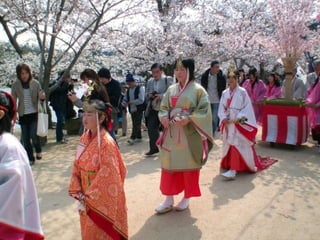 Festival in japan