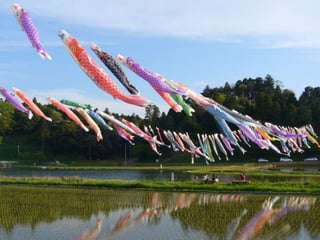 Festival in japan