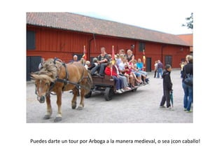 Puedesdarteun tour por Arboga a la manera medieval, o sea¡concaballo!