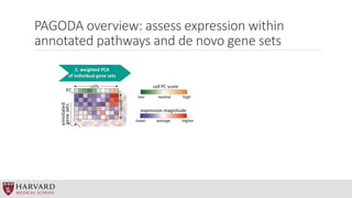 PAGODA overview: assess expression within
annotated pathways and de novo gene sets
 
