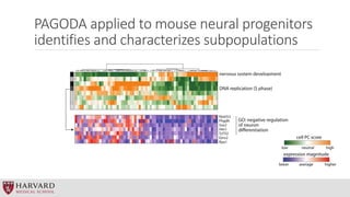 PAGODA applied to mouse neural progenitors
identifies and characterizes subpopulations
 