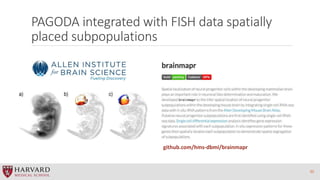 PAGODA integrated with FISH data spatially
placed subpopulations
32
github.com/hms-dbmi/brainmapr
 