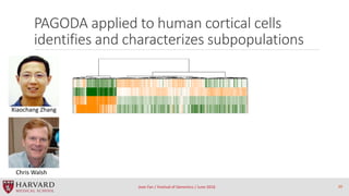 PAGODA applied to human cortical cells
identifies and characterizes subpopulations
Jean Fan / Festival of Genomics / June ...