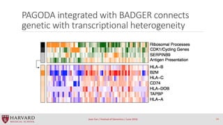 PAGODA integrated with BADGER connects
genetic with transcriptional heterogeneity
Jean Fan / Festival of Genomics / June 2...