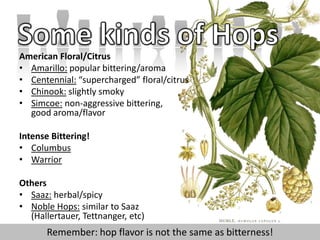 Some kinds of HopsSome kinds of HopsAmerican Floral/CitrusAmarillo: popular bittering/aromaCentennial: “supercharged” floral/citrusChinook: slightly smokySimcoe: non-aggressive bittering,good aroma/flavorIntense Bittering!ColumbusWarriorOthersSaaz: herbal/spicyNoble Hops: similar to Saaz(Hallertauer, Tettnanger, etc)Remember: hop flavor is not the same as bitterness!