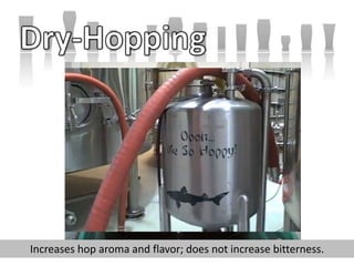 Dry-HoppingIncreases hop aroma and flavor; does not increase bitterness.