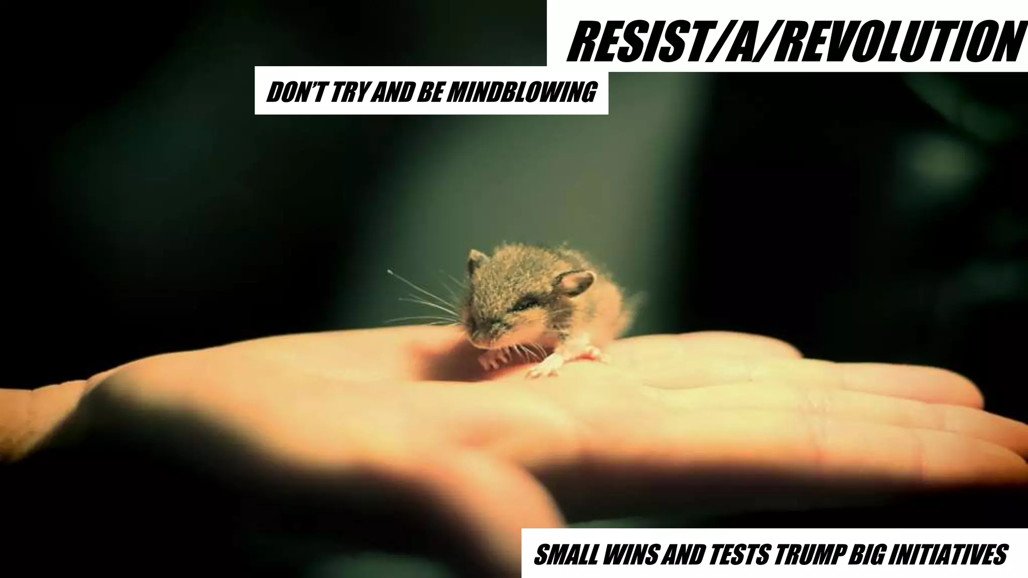 RESIST/A/REVOLUTION
SMALL WINS AND TESTS TRUMP BIG INITIATIVES
DON’T TRY AND BE MINDBLOWING
 