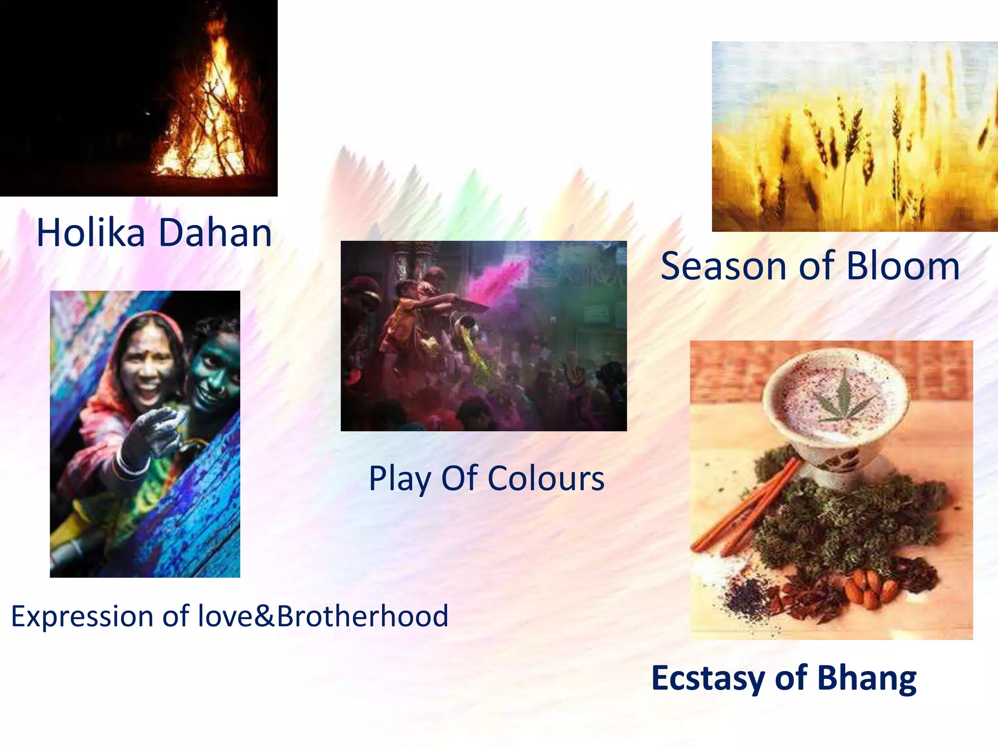 Holika Dahan
                                          Season of Bloom



                        Play Of Colours


Expression of love&Brotherhood
                                          Ecstasy of Bhang
 